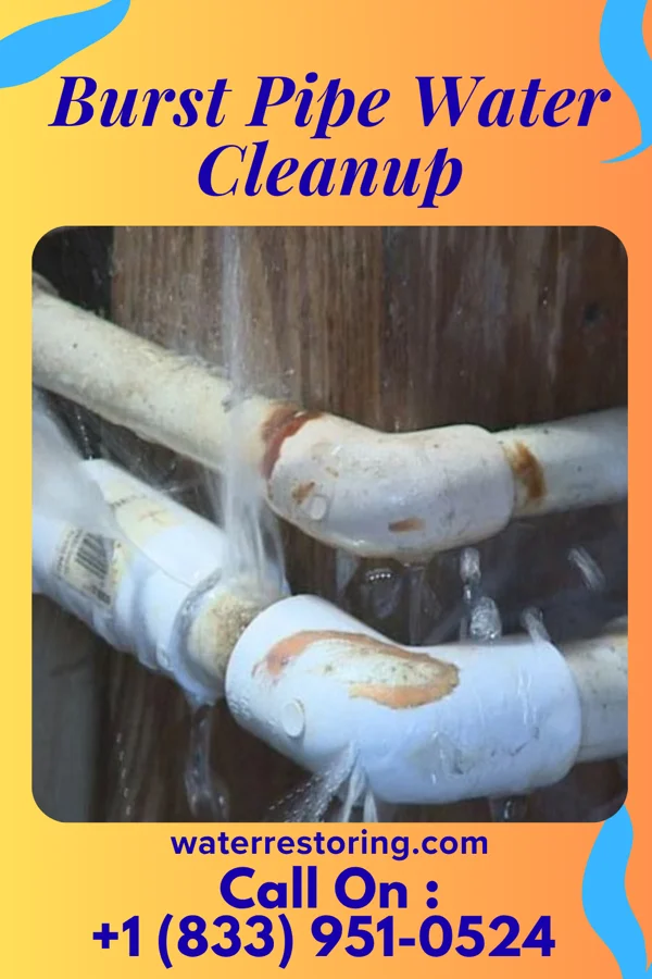 Burst Pipe Water Cleanup in Pottstown, PA