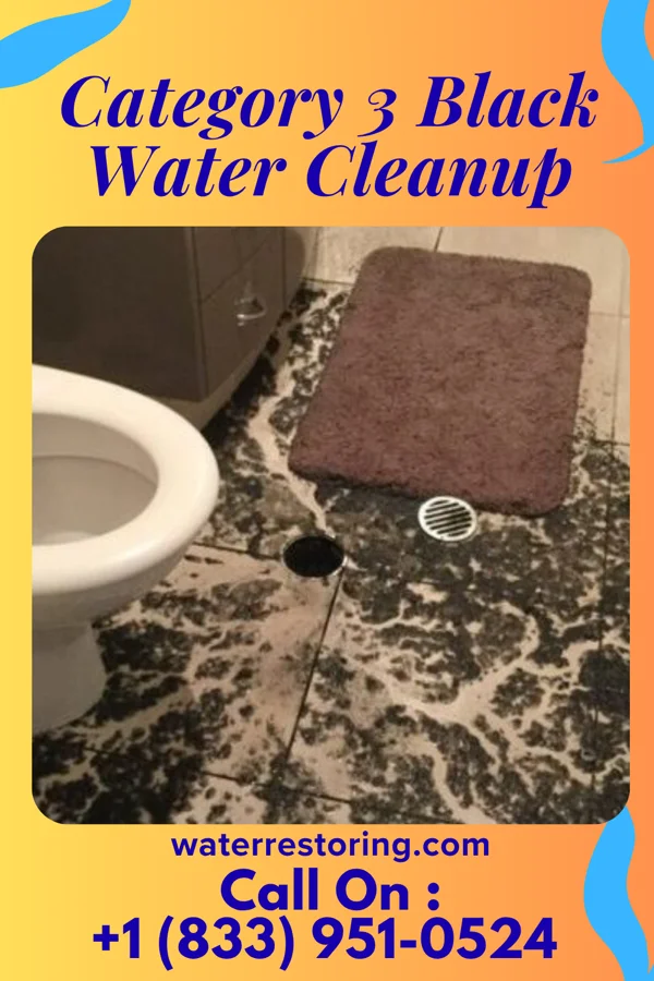 Category 3 Black Water Cleanup in Pottstown, PA