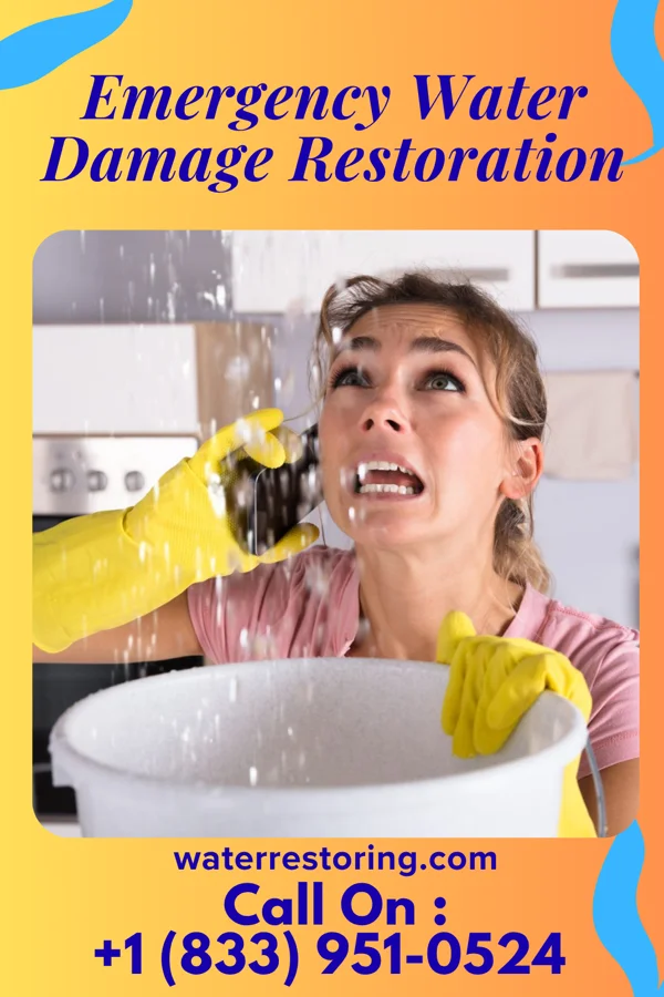 Emergency Water Damage Restoration in Pottstown, PA