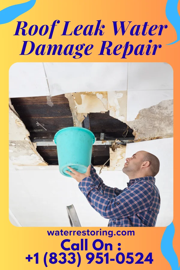 Roof Leak Water Damage Repair in Pottstown, PA