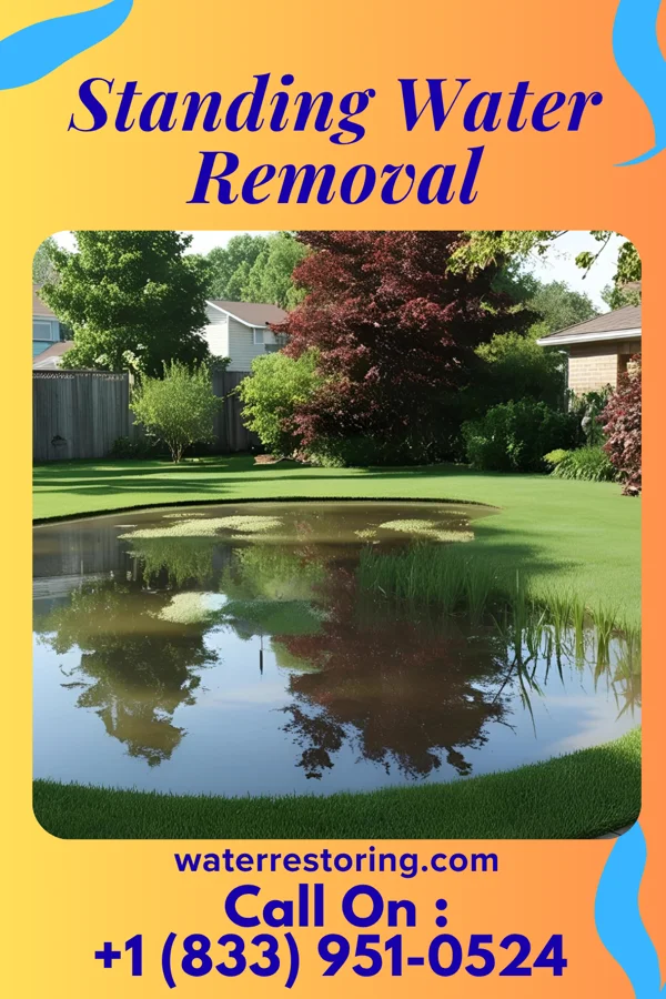 Standing Water Removal in Pottstown, PA